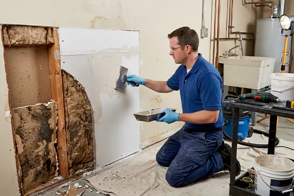 Mold and Drywall Repair Burleson