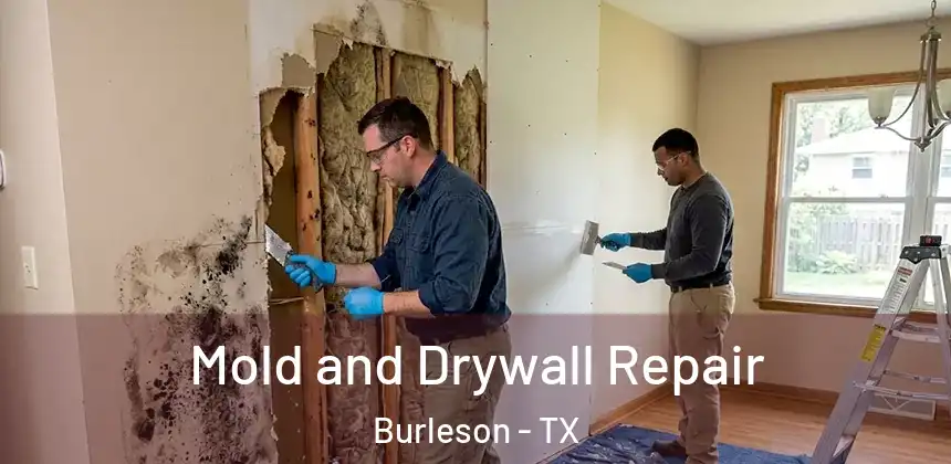  Mold and Drywall Repair Burleson - TX