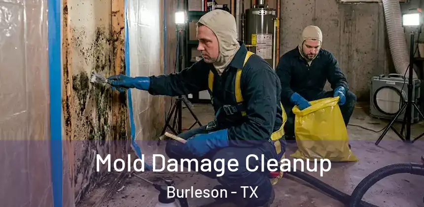 Mold Damage Cleanup Burleson - TX