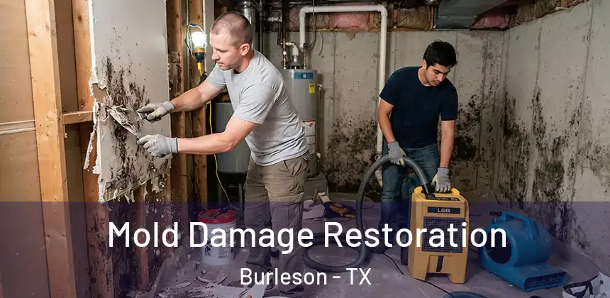  Mold Damage Restoration Burleson - TX