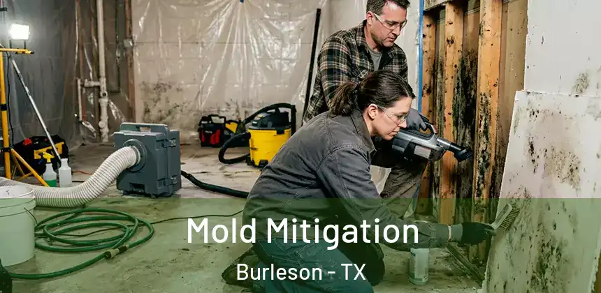  Mold Mitigation Burleson - TX
