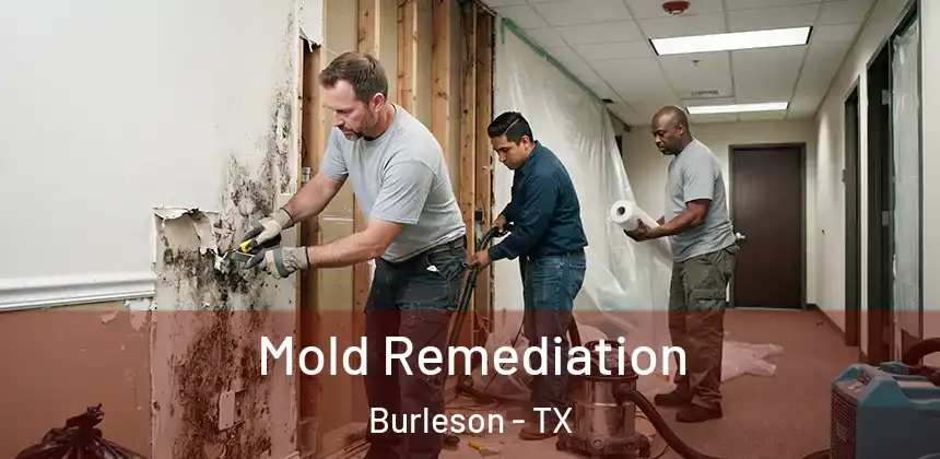  Mold Remediation Burleson - TX