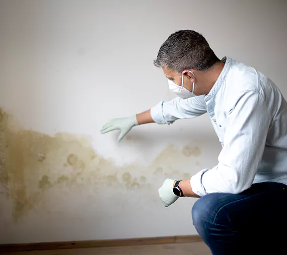 Mold Removal Service in Burleson, TX