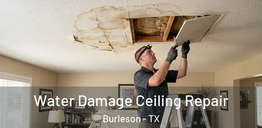  Water Damage Ceiling Repair Burleson - TX