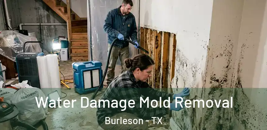  Water Damage Mold Removal Burleson - TX